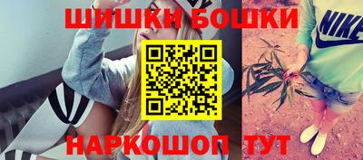шишки Можга
