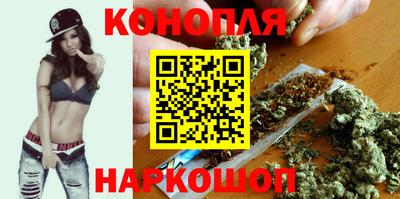 шишки Можга