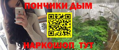 шишки Можга
